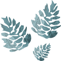 Element_Winter_zapfen