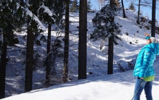 Apartment - Wald / Winter- Kärnten, Das Gailtal
