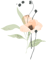 Apartment – Frühling – Kärnten, Das Gailtal nawu_apartments