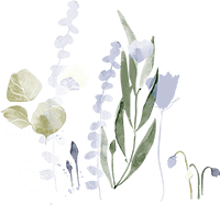 nawu_apartments_Frühlingsblumen nawu_apartments